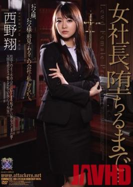 RBD-378 Studio Attackers - Company President, Until She Breaks... Sho Nishino