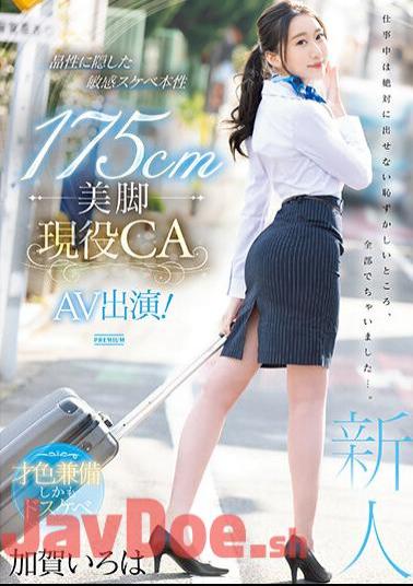 PRED-494 175cm Beautiful Legs Active CA AV Appearance! Kaga Iroha