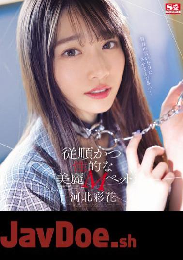 SSIS-839 Obedient And Sexual Beautiful M Pet Ayaka Kawakita (Blu-ray Disc)